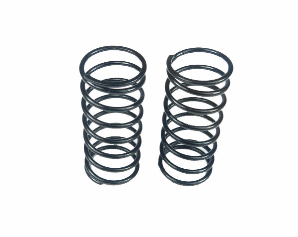 Custom Works 1830 BIG BORE SPRINGS - BLACK 10#